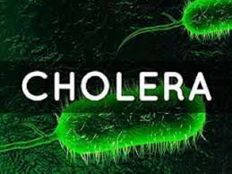 CLEAN NIGERIA INITIATIVE: FG Tackles Cholera From Root, Intensifies Bid To End Open Defecation