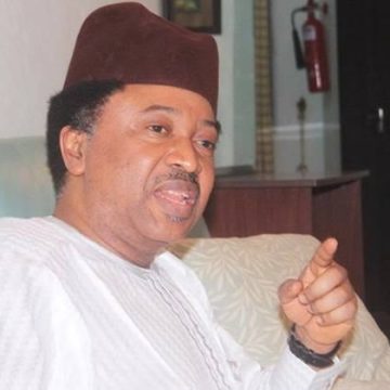 Shehu Sani Slams El-Rufai: “You Were Silent When Buhari Practiced Nepotism”