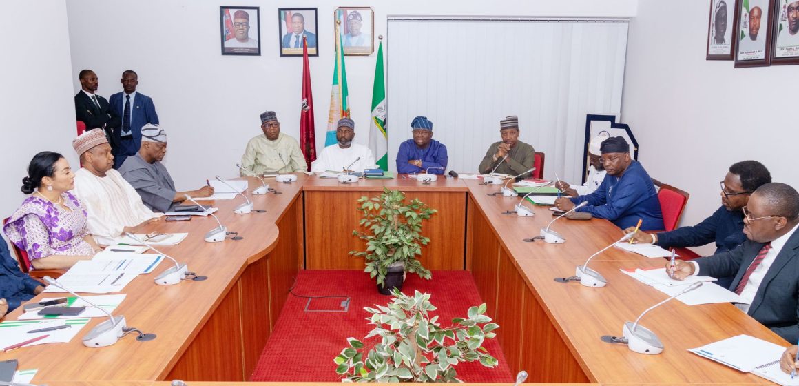 FG SETS STAGE FOR SUSTAINED ECONOMIC GROWTH, BRIEFS SENATE ON 2025 BUDGET