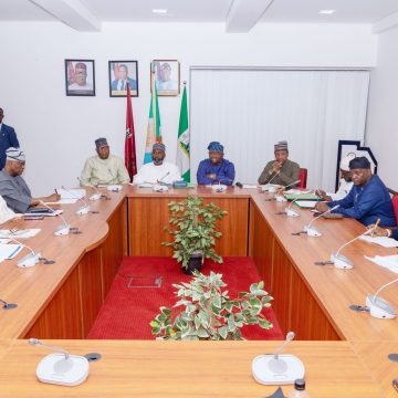 FG SETS STAGE FOR SUSTAINED ECONOMIC GROWTH, BRIEFS SENATE ON 2025 BUDGET