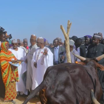 Gov Zulum’s Cattle Ranch’ First of its kind in the country – Prof Jega