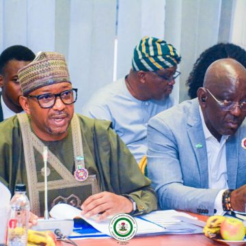 SPORTS HAD NEVER HAD IT THIS GOOD! – REPS MEMBERS APPLAUD TINUBU OVER BUDGET AS NSC DEFENDS ITS BUDGET BEFORE BOTH CHAMBERS OF NASS