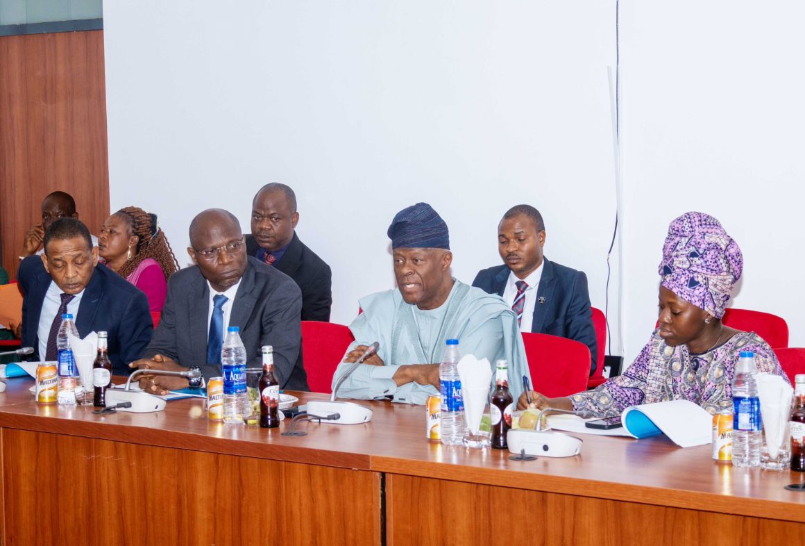 FINANCE MINISTER HIGHLIGHTS CAPITAL MARKET GROWTH IN SENATE BUDGET REVIEW
