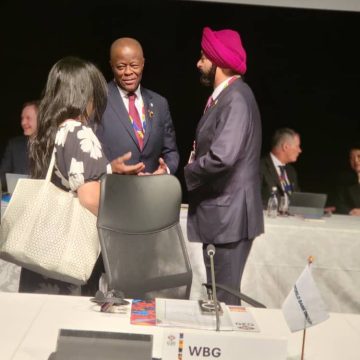 IMG-20250301-WA0021 WALE EDUN CHAMPIONS GLOBAL ECONOMIC STABILITY, SUSTAINABLE DEVELOPMENT AT G20 SUMMIT