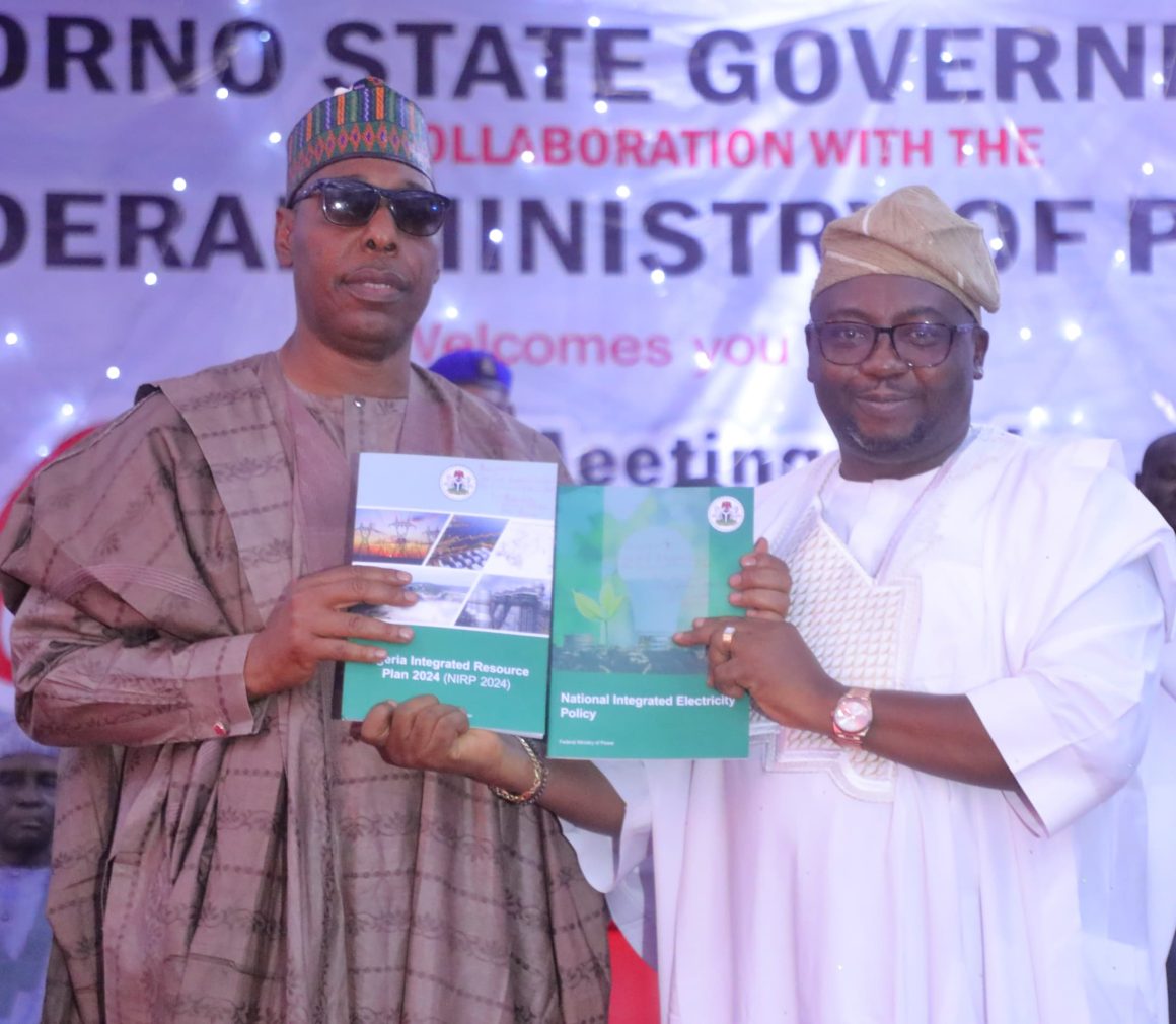 We shouldn’t treat energy as profit driving commodity, Zulum urges power minister