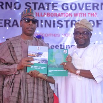 We shouldn’t treat energy as profit driving commodity, Zulum urges power minister