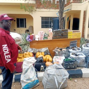 NDLEA Nabs 129 Over Drug Offences in Kogi, Seizes Over 280kg of Hard Drugs
