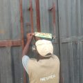 NESREA SHUT KANO RICE PLANT OVER NON-COMPLIANCE WITH ENVIRONMENTAL REGULATIONS: PROF BARIKOR