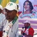 YPP Ready for 2027 as Party Picks Female Presidential Candidate — Adedotun