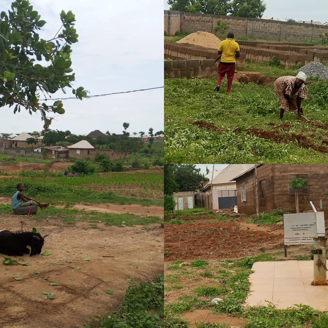IMG-20260606-WA0032 Delayed Rains Leave Abuja Farmers in Limbo
