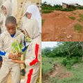 Ejigbo: Where Survival Competes With Nature