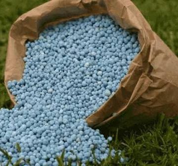 IMG-20260616-WA0007 Early Orders, Cheaper Fertiliser: How The Federal Government Shielded Nigerian Farmers From A Global Crisis