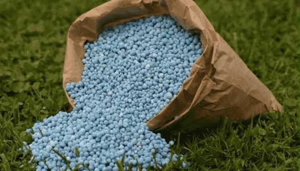 IMG-20260616-WA0007 Early Orders, Cheaper Fertiliser: How The Federal Government Shielded Nigerian Farmers From A Global Crisis