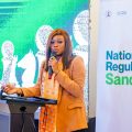 Unified Oversight: Driving Safe Innovation via the National Regulatory Sandbox