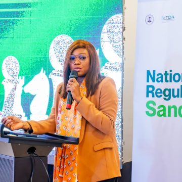 Unified Oversight: Driving Safe Innovation via the National Regulatory Sandbox